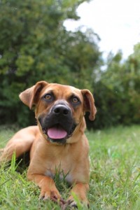 HALT FALL 2012_46_low