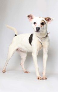 Mattie - Spring 2016