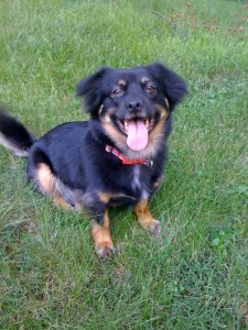 Sasha is a graduate of the 2007 class. 