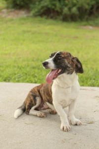 Belle_IMG_3906_lowres