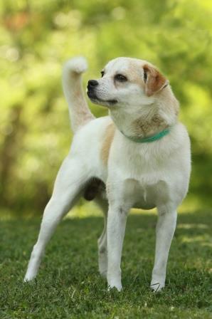 Norris-19984174(3)_lowres