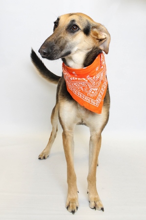 Winnie - Spring 2015