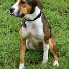 Barbie - Fall 2023 - Adopted!